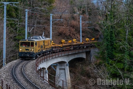 6003